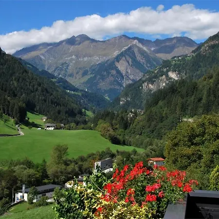Apartment Pichler 4 *